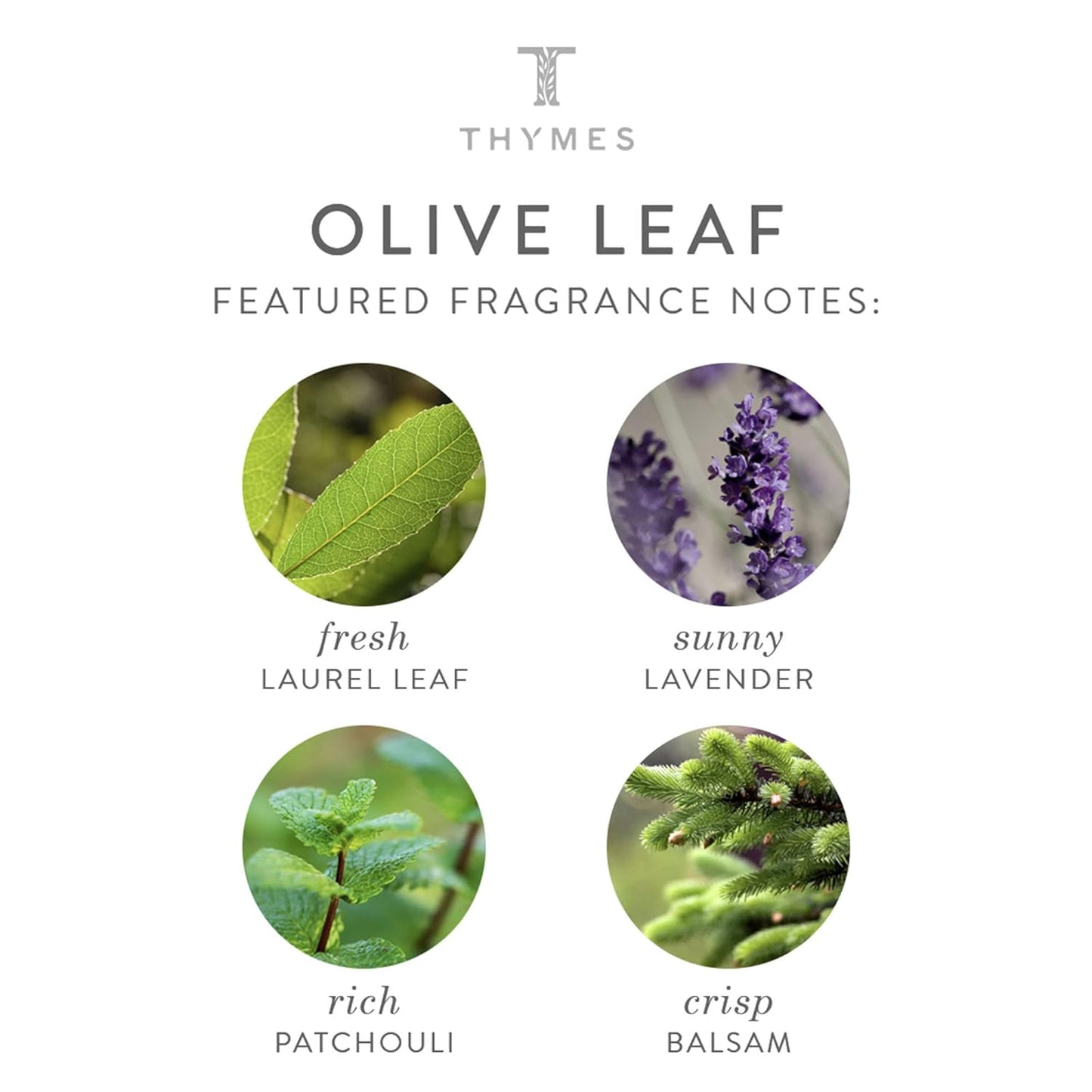 Thymes Hand Cream Trio Gift Set - Eucalyptus, Olive Leaf & Aqua Coralline - Body Skin Care Products with Vitamin E - Hand Moisturizer Set Includes Three Moisturizing Creams - 1 oz ea