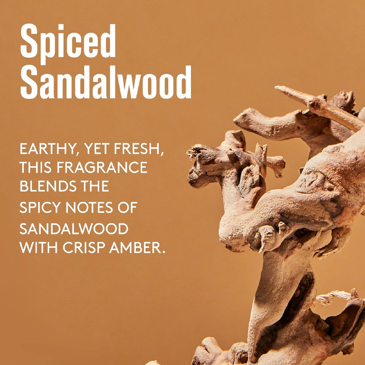 Barrel and Oak - Spiced Sandalwood Body Care Set, Fragrant Sea Salt & Amber Scent, Rich in Essential Oils, Hydrating Formulas, Rich Texture, No Parabens or Phthalates, Certified Organic (3-Pack Set)