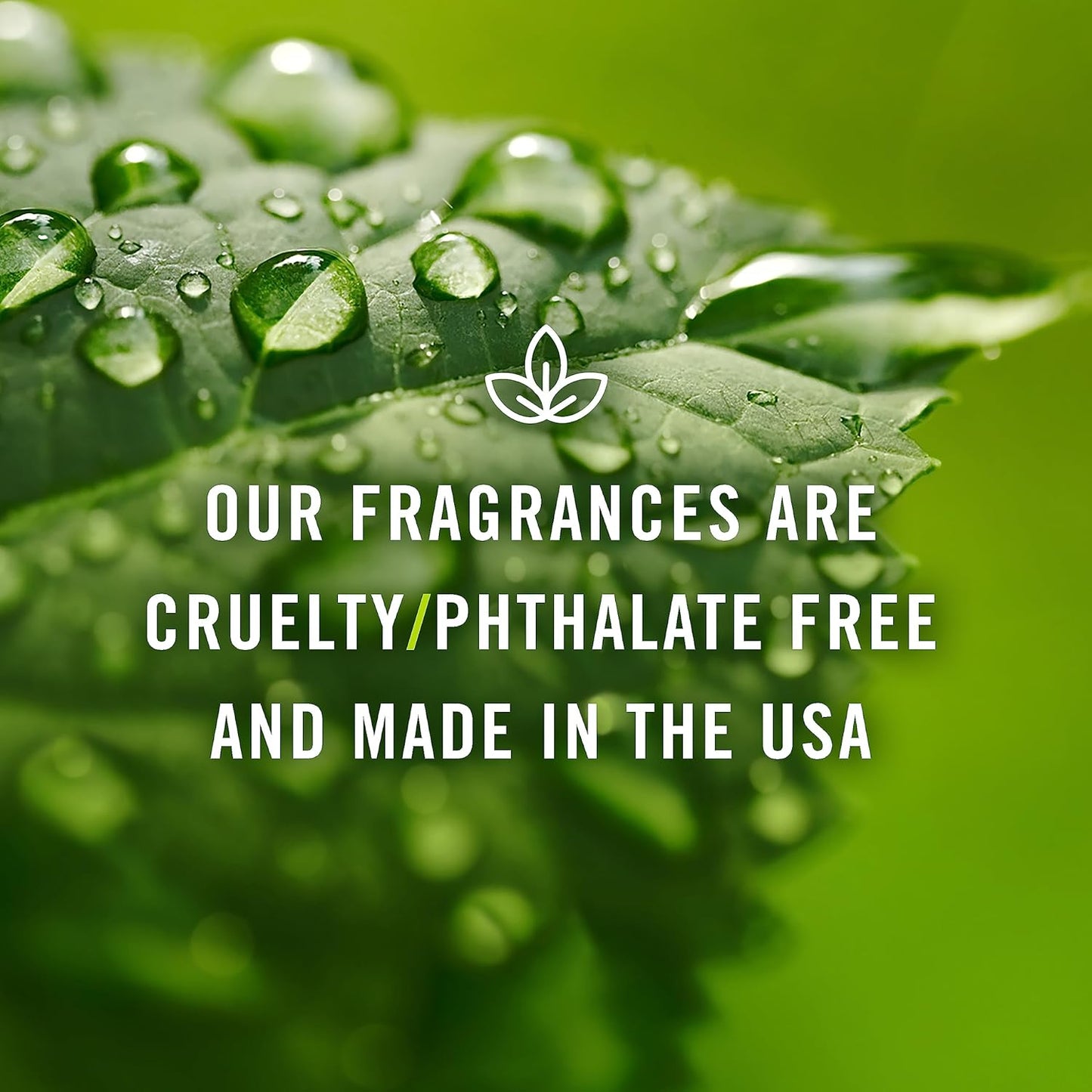 P&J Trading Fragrance | Warm Vanilla Sugar Oil 100ml - Candle Scents for Candle Making, Freshie Scent, Soap Making Supplies, Diffuser Oil Scents